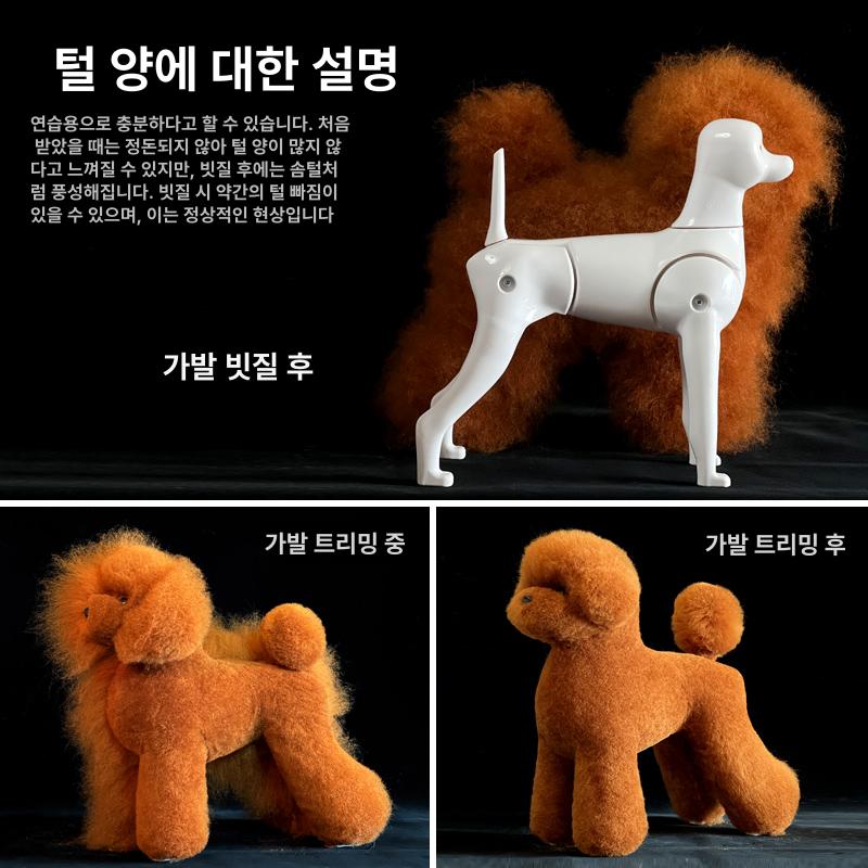 비숑 연습 모형 애견미용 연습용 골격 애견미용사 애견 독립형 푸들 뼈대 어깨높이23cm - 상세 이미지 3