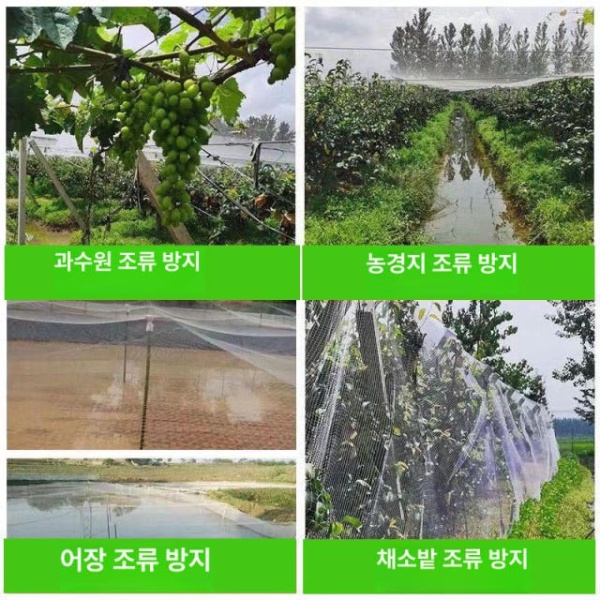강력추천 텃밭 식물그물망 새망 블루베리새망 조류망 참새 그물망 2m 길이 10m 2.5새로운메시소재 2m 길이 10m 2.5새로운메시소재 - 상세 이미지 2