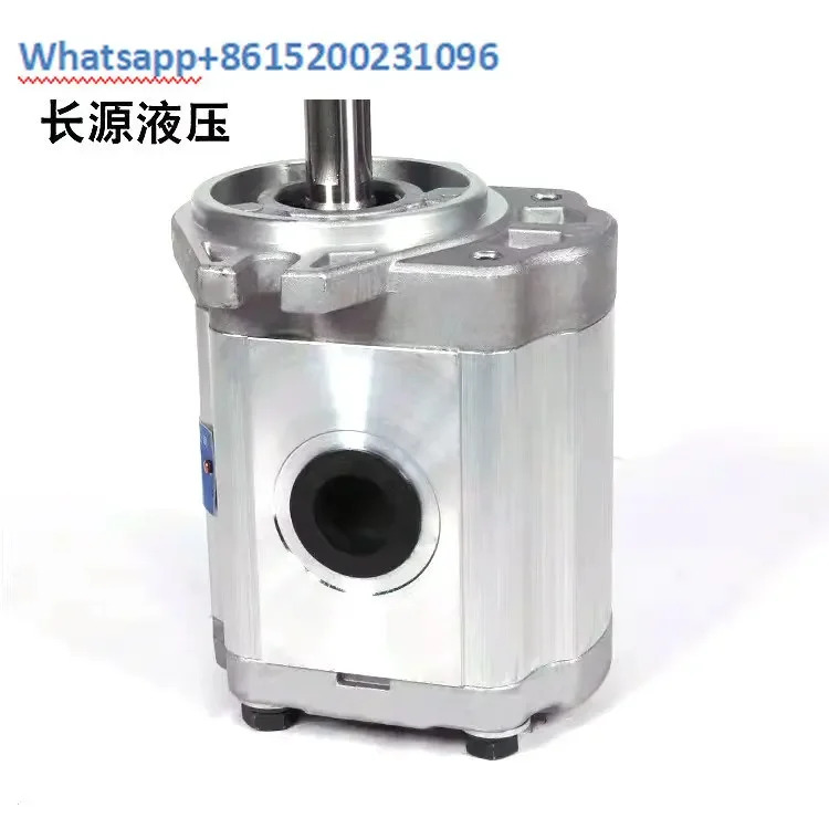 기어 오일 펌프 CBTD-F432 F410 F420 F440-ALH4L ALP ALH