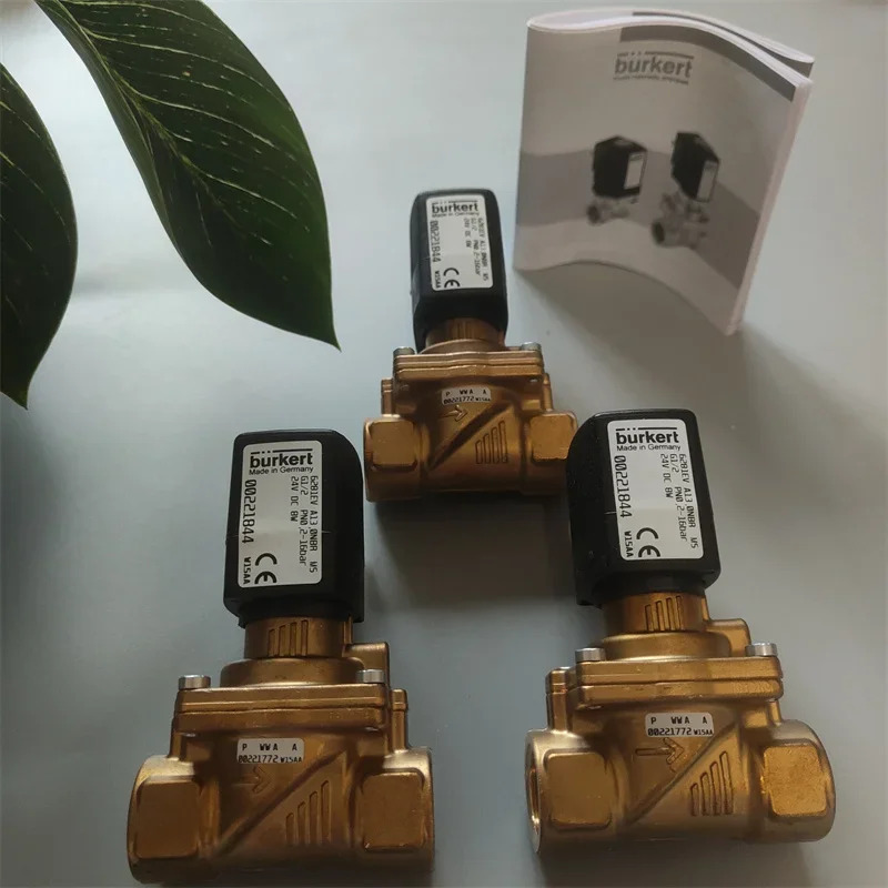 2025.4 버커트6281EV A 13.0 NBR MS G1/2 24VDC 00221844  보이드