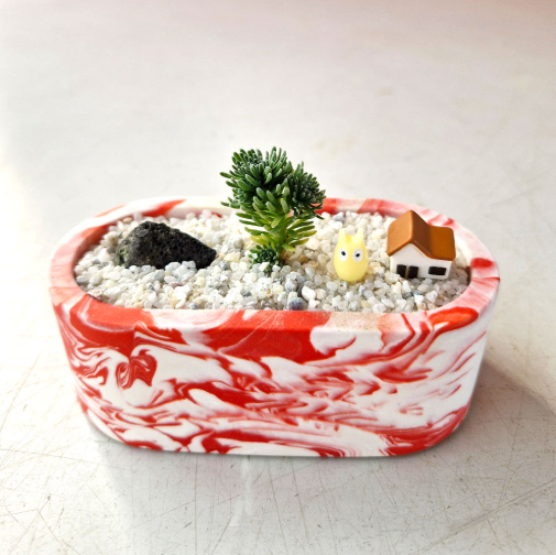 소송록 제스모 키트 제스모나이트 친환경 화분 만들기 DIY 식재 체험학습 교구 아임팟 - 상세 이미지 3