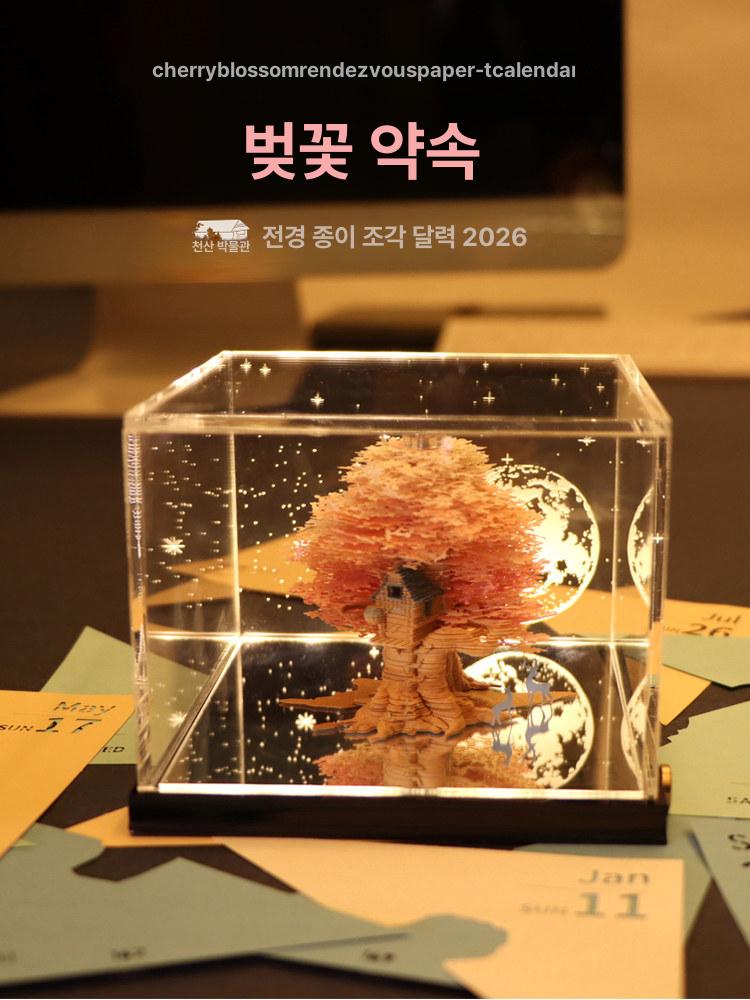 3d 탁상 달력 신년 뜯어쓰는 메모 캘린더 주간 조각 뜯는 벚꽃 탁상달력 뜯어쓰는달력 - 상세 이미지 4