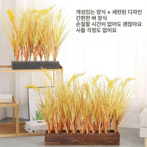 프리미엄 가을 벼 이삭 사계절 갈대 조경 추석 높이 소품 수확꽃길 60cm+화분 - 상세 이미지 2