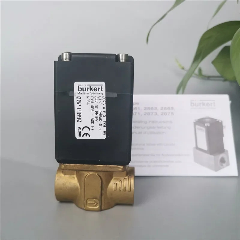 2025.4버커트2875 6.0 FKM M5 G1/2 24VDC 16W 400-500HZ 239090