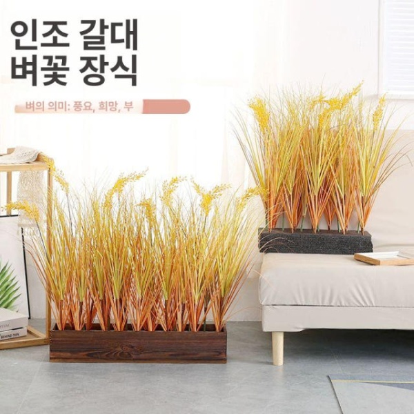프리미엄 가을 벼 이삭 사계절 갈대 조경 추석 높이 소품 수확꽃길 60cm+화분 - 상품 이미지