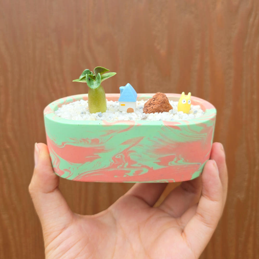 아라비쿰 dha 제스모 키트 제스모나이트 친환경 화분 만들기 DIY 식재 체험학습 아임팟 - 상세 이미지 4