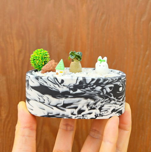 아라비쿰 dha 제스모 키트 제스모나이트 친환경 화분 만들기 DIY 식재 체험학습 아임팟 - 상세 이미지 3