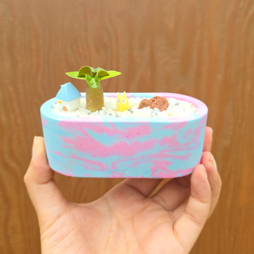 아라비쿰 dha 제스모 키트 제스모나이트 친환경 화분 만들기 DIY 식재 체험학습 아임팟 이미지 6