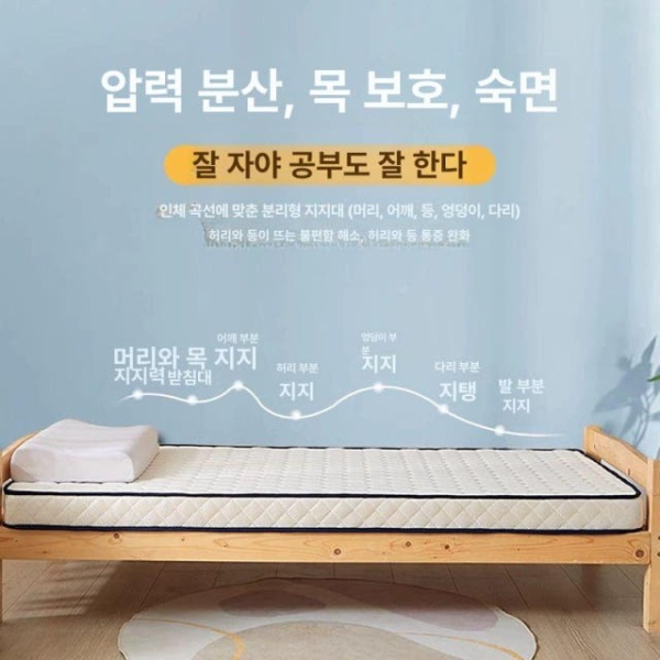 프리미엄 탄탄한 소형 기숙사 노블 1인용 매트리스 라텍스 두꺼운 버전 사계절 공용 6cm A 80x190cm 기숙사 오래 자도 않음 - 상세 이미지 3
