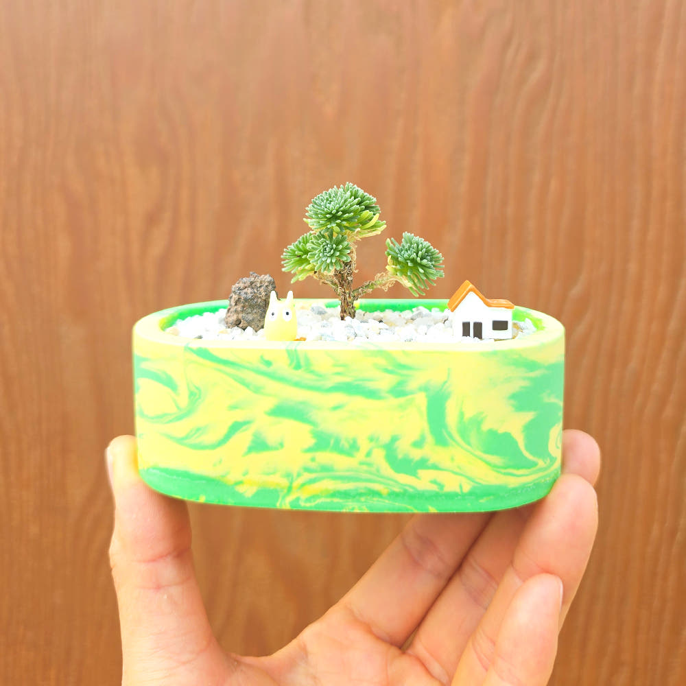 소송록 제스모 키트 제스모나이트 친환경 화분 만들기 DIY 식재 체험학습 교구 아임팟 - 상품 이미지