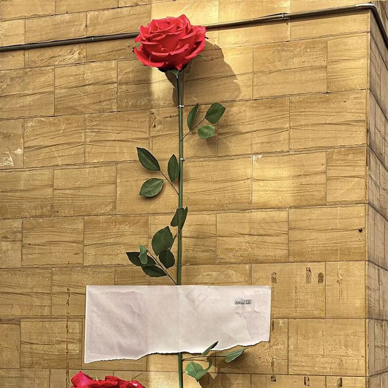 자이언트로즈 꽃장식 대형 50cm 80cm 꽃다발 장미 - 상세 이미지 4