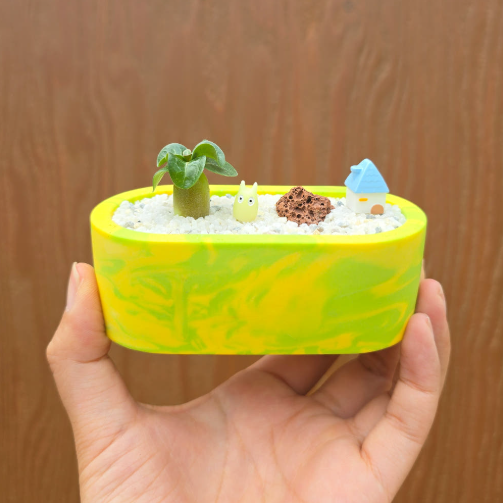 아라비쿰 dha 제스모 키트 제스모나이트 친환경 화분 만들기 DIY 식재 체험학습 아임팟 - 상세 이미지 5