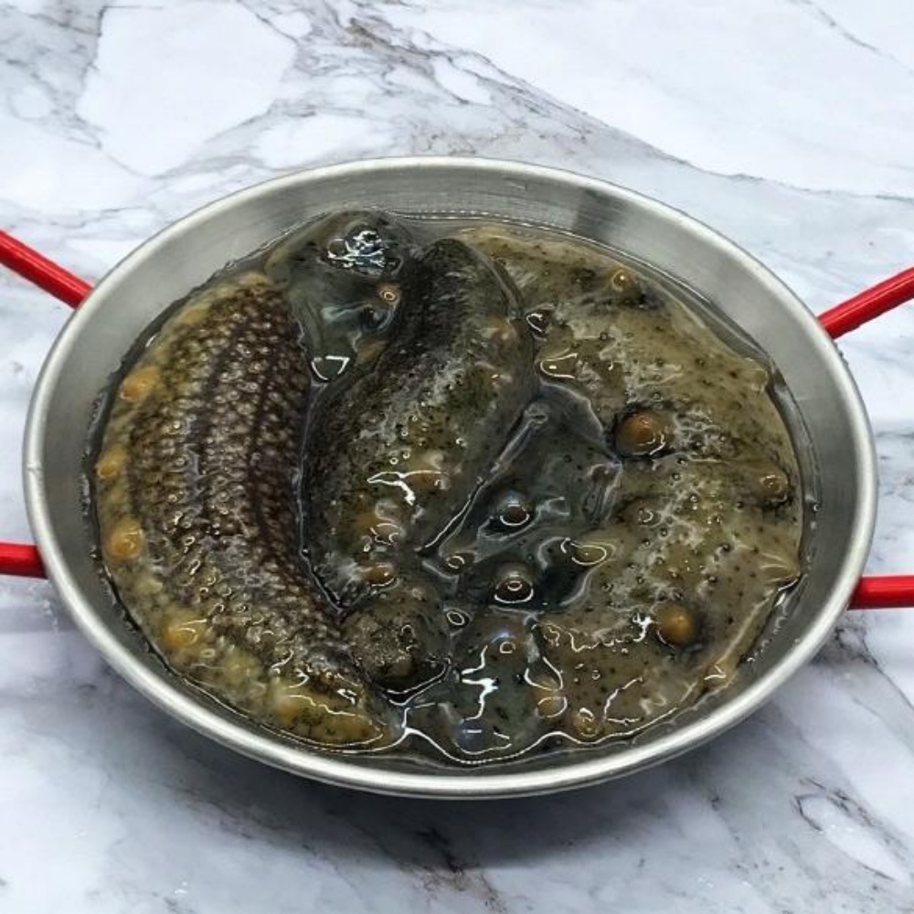 해삼 해삼내장 고노와다 제철 활해삼 와다 자연산 동해안 산지직송 500g 이미지 8