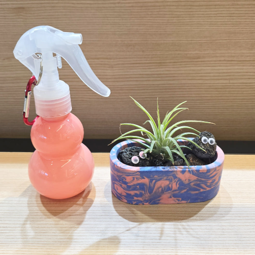 눈알친구 제스모 키트 제스모나이트 친환경 화분 만들기 식재 체험학습 교구 아임팟 - 상세 이미지 4