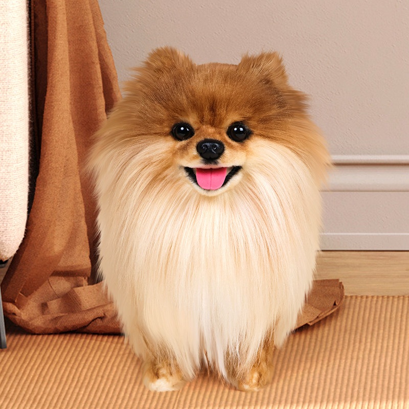 반려동물 모형 포메라니안 애착 강아지 인형 고급 동물 전용 디자인 완구 갈색 - 상세 이미지 2