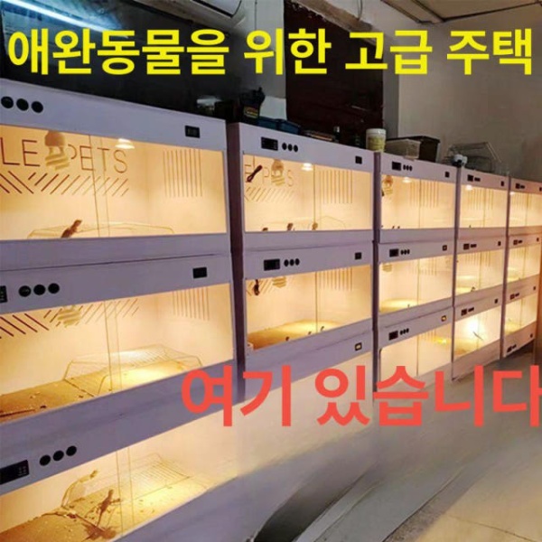프리미엄 온도조절 거북이 도마뱀 비어디드래곤사육장 아크릴 사육장 사이즈 맞춤 추가 필요 시 고객센터 - 상품 이미지