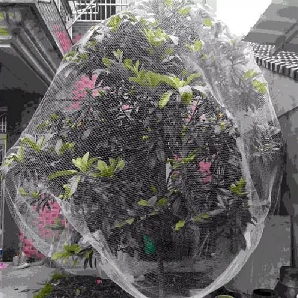 참새망 나무 과일나무 새그물 작물보호 블루베리망 - 상세 이미지 3