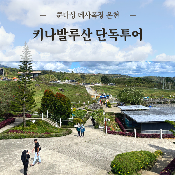 코타키나발루산투어 키나발루산 국립공원 트래킹 쿤다상 데사목장 온천 식물원 단독투어 가족여행 - 상품 이미지