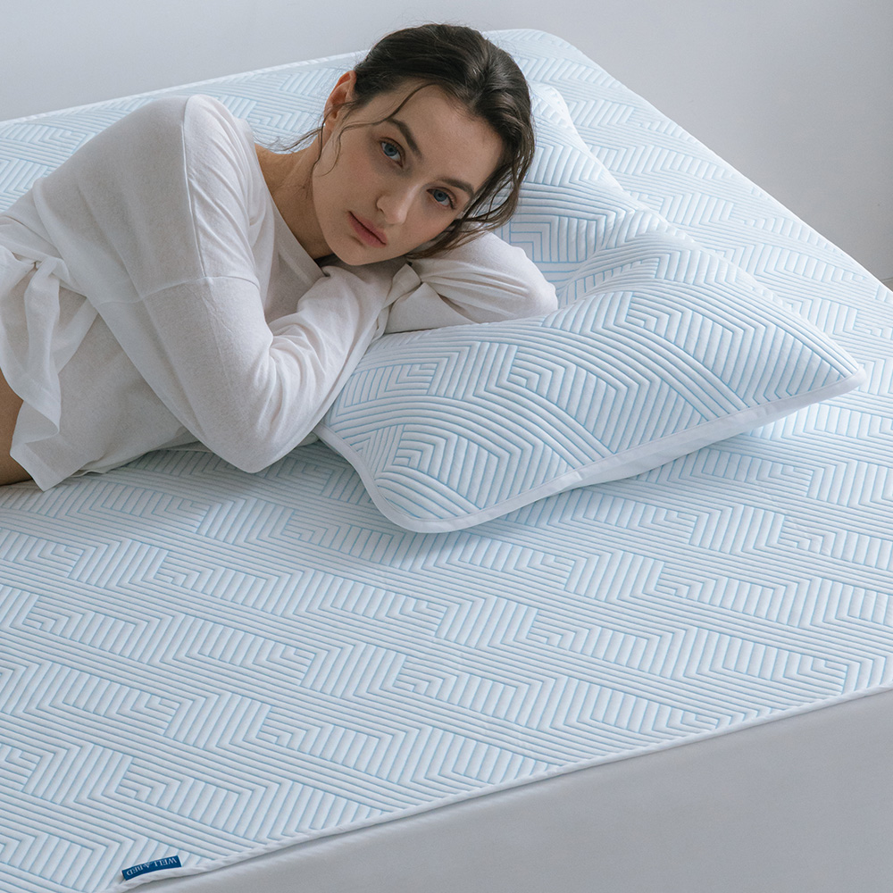 프로텍트어베드 웰어베드 듀라웰 알래스카 냉감 매트리스커버 블루, K(킹)