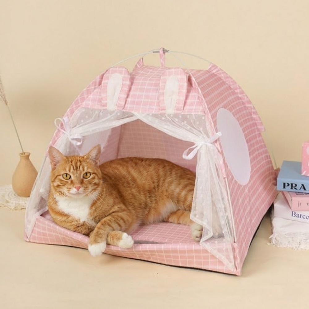 다묘집사 고양이 숨숨집 토끼 텐트