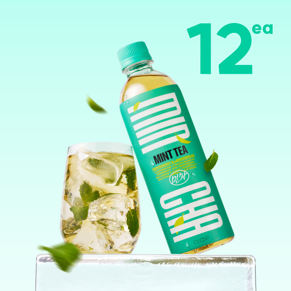 클룹 민차 페퍼민트 500ml 12개입