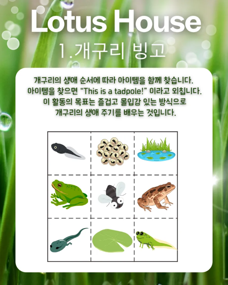 [생태체험] 경기 여주 농촌 가족 농장체험 연꽃 개구리 생태 교실 by 로터스하우스 이미지 6