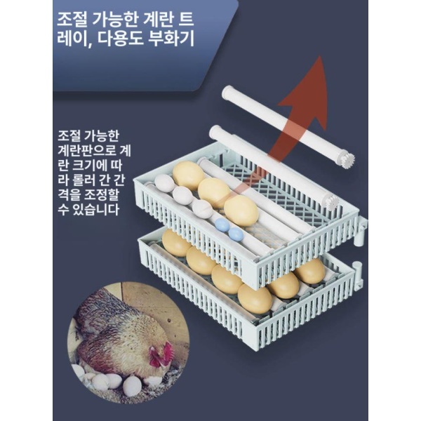 최신 자동 오리 메추리 병아리 부화기 달걀 종란 앵무새 24알 클래식 단일 - 상세 이미지 4