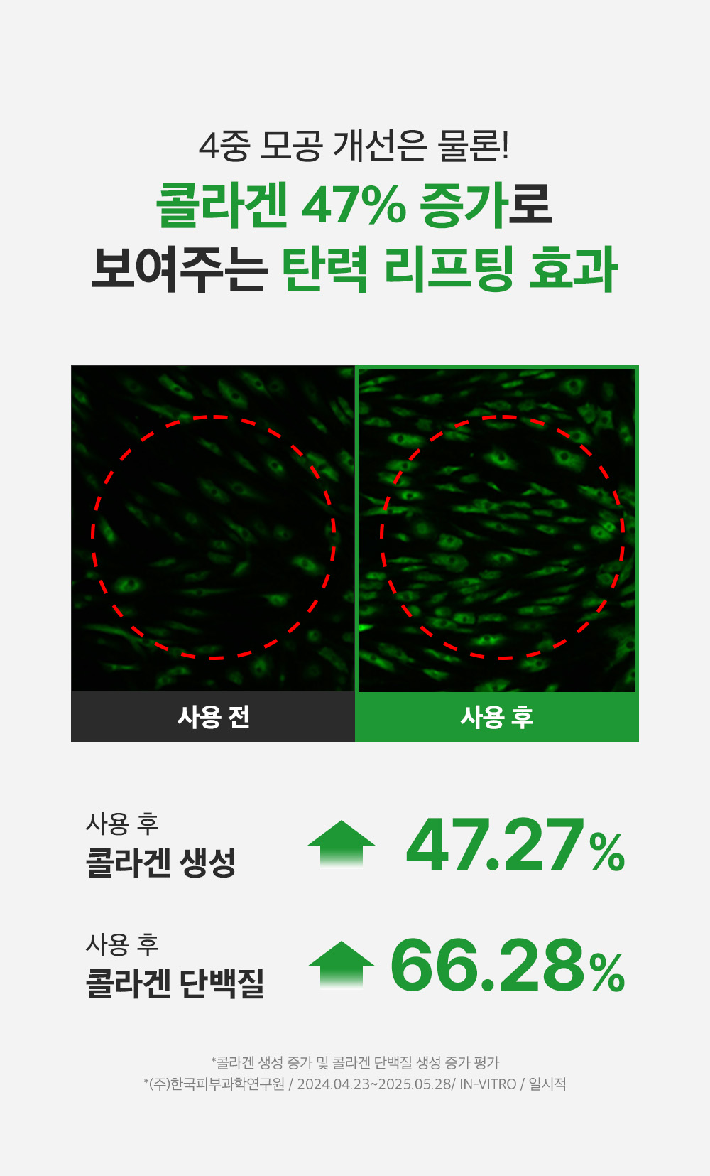 sungboon editor green tomato concentrated ampoule