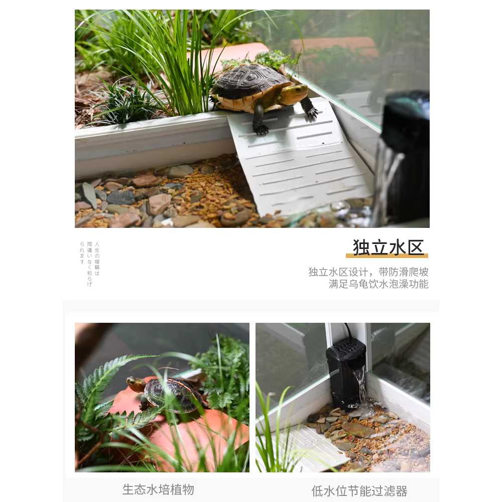 대형 거북이 수조 반수생 투명 사각 사육장 쉼터 집 60cm 기본 - 상세 이미지 4