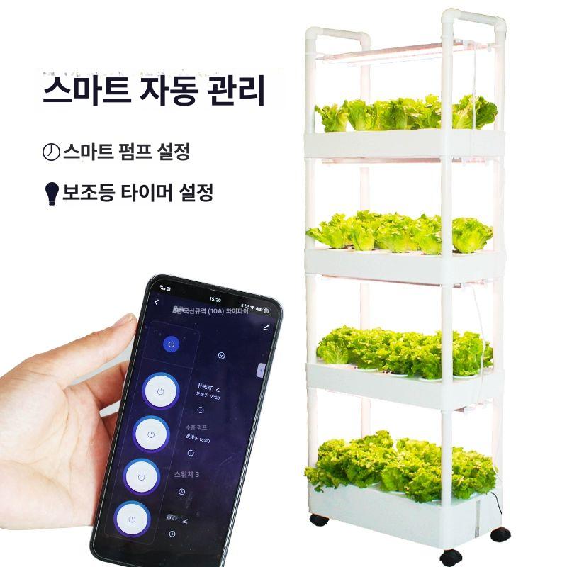 식물재배기 수경 가정용 채소 야채 스마트팜 실내 신형 4단 3D 수순환 세트 대형 - 상세 이미지 3