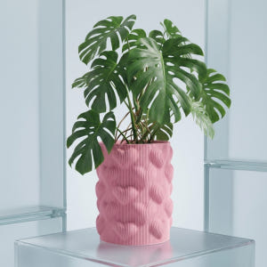 브레디 하트 생분해 화분 가리개 플분 화분커버 팟커버 핑크 실사용 후기 | 효과 있을까? - 상품 이미지 2