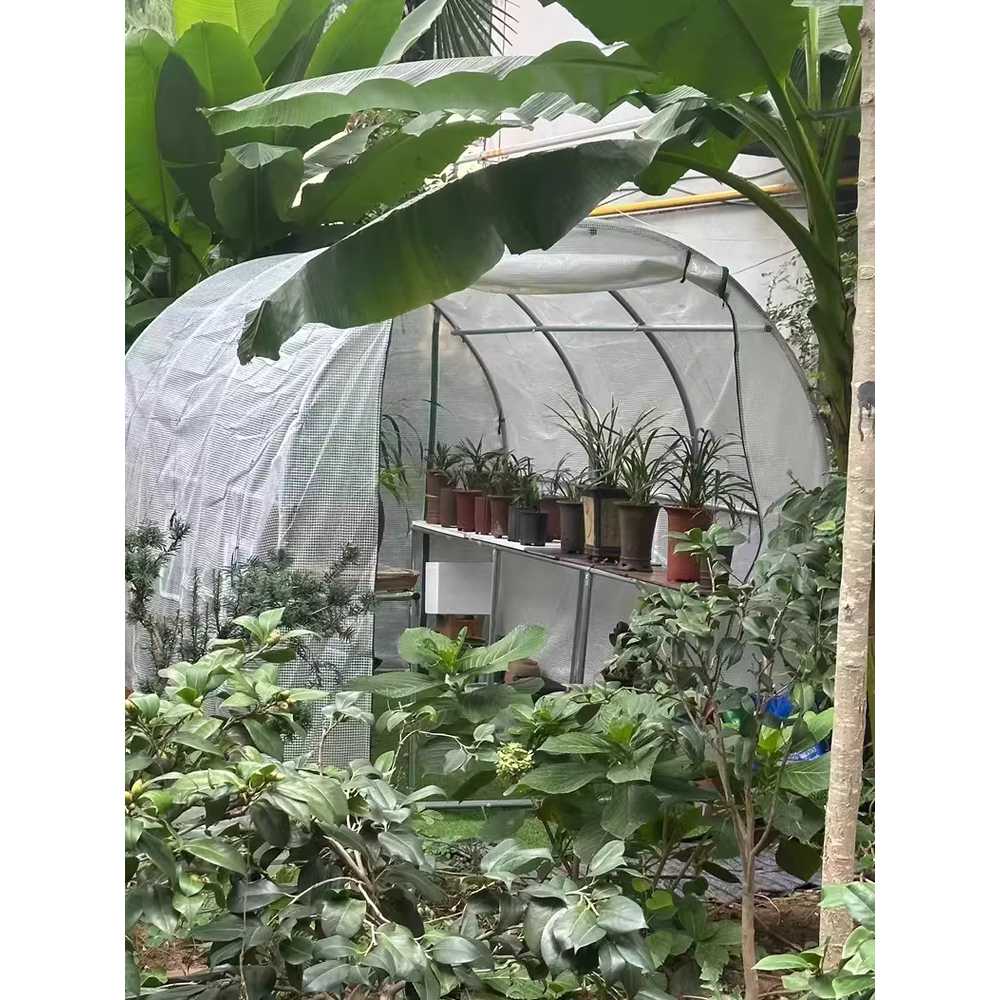 미니하우스 텃밭 소형 비닐 온실 농자재 마당 터널 2x1.45x1.75m / 내부 선반 포함 이미지 8