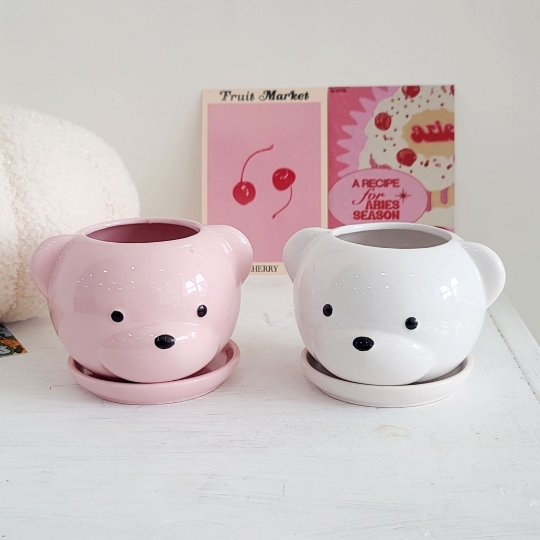 화분 식물 곰 소형 꽃 고급 소나무 원형 거실 예쁜 다육이 플랜테리어 꽃 인테리어 귀여운 - 상품 이미지