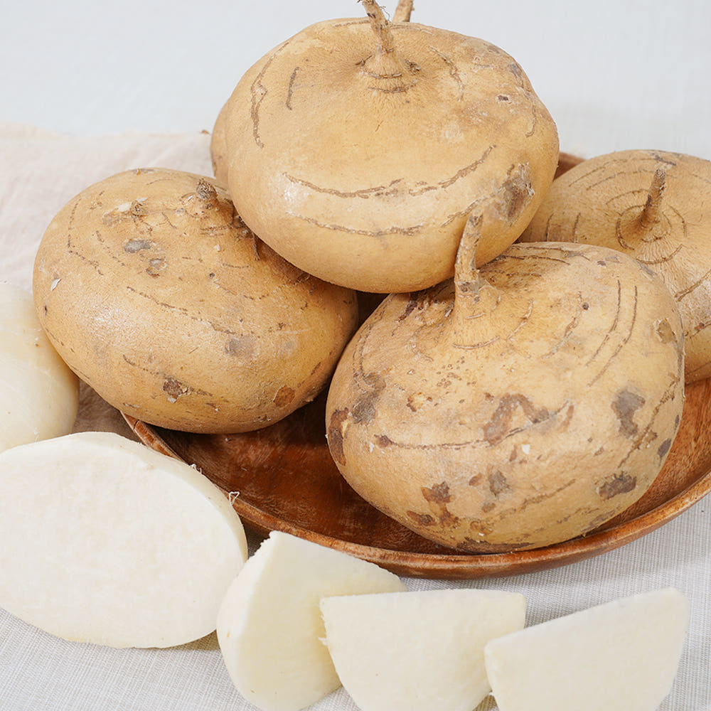 [금서율네] 히카마 2.5kg