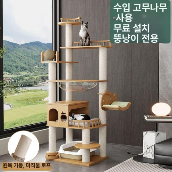 프리미엄 원목 캣타워 고양이 나무 캣폴 고무나무소재 DK 01 나무판+종이관 - 상품 이미지
