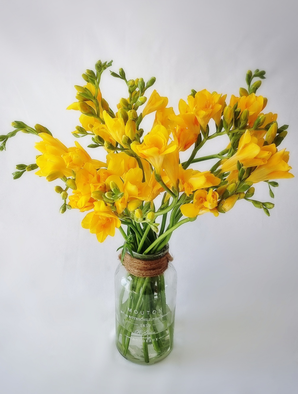 프리지아꽃 1+1 생화 봄꽃 집꾸미기 후리지아 향기 꽃배달 싼곳 정기구독 라운드블루미 이미지 4