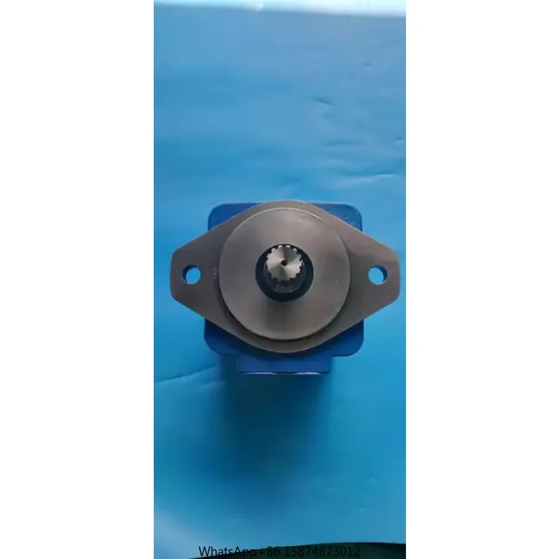 Nuoyi VQ SVQ DVQ 유압 단일 베펌프 VQ15 VQ20 VQ25 VQ35 VQ45 시리즈 VQ35-108-F-RAA-01