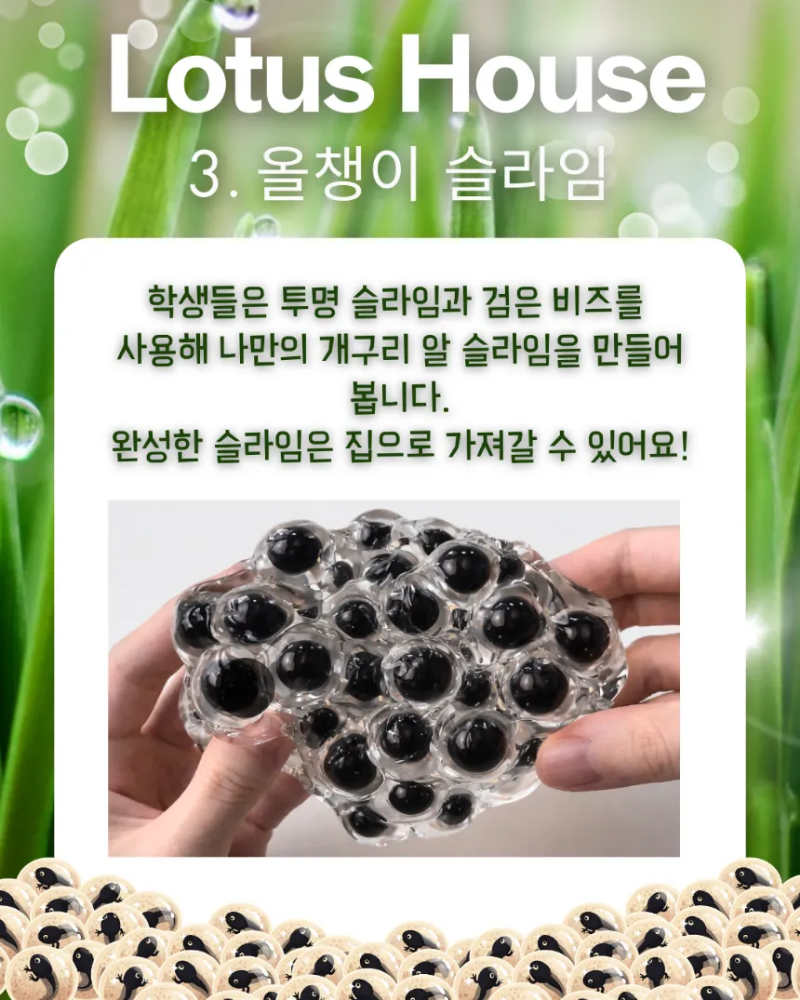 [생태체험] 경기 여주 농촌 가족 농장체험 연꽃 개구리 생태 교실 by 로터스하우스 이미지 8