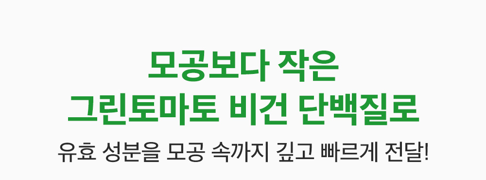 sungboon editor green tomato concentrated ampoule