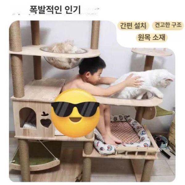 프리미엄 원목 캣타워 고양이 나무 캣폴 고무나무소재 DK 01 나무판+종이관 - 상세 이미지 3