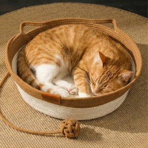 다묘집사 고양이 집 하우스 바구니 솔직 후기 | 실제 사용자 리뷰 총정리 - 상품 이미지 1