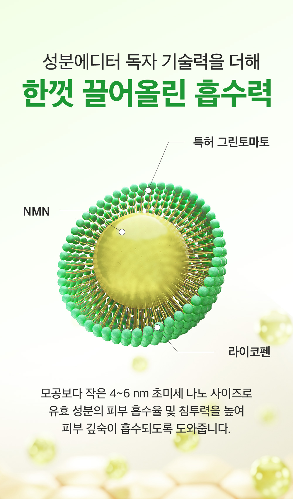 sungboon editor green tomato concentrated ampoule