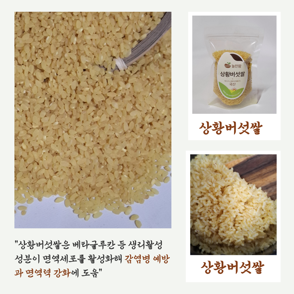 늘찬팜 상황버섯쌀 1kg 국산 백미 97% 상황버섯추출물 3% 구수한 건강밥 이미지 4