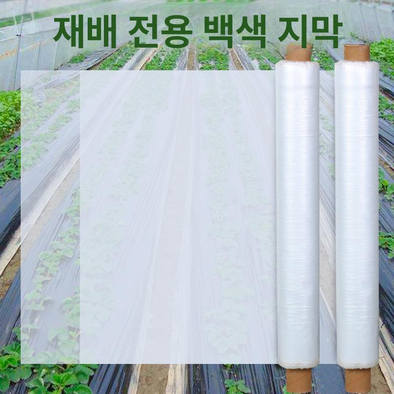 농업용 비닐 방풍 덮개 투명 온실 텃밭 멀칭 흑색 단열 60cm 1600m 10.0kg 1줄 - 상세 이미지 4