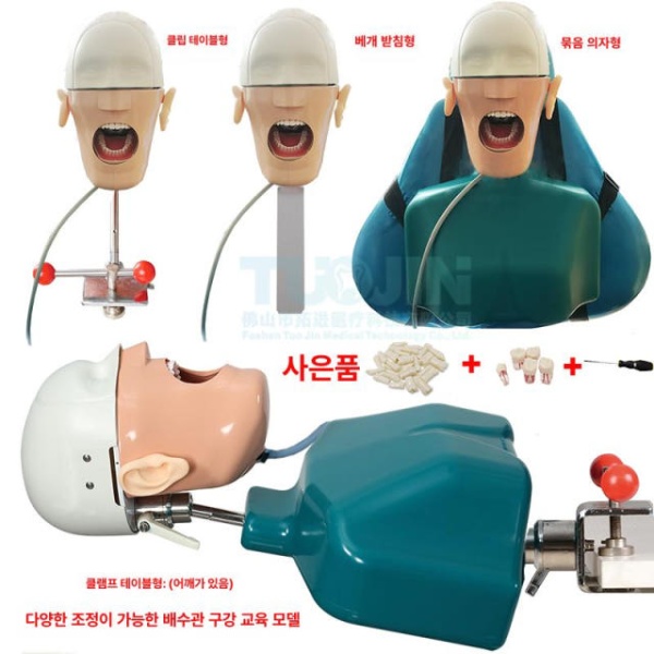 최첨단 치과 마네킹 모형 구강 교육 스케일링 실습 임플란트 심플 스트랩 - 상품 이미지