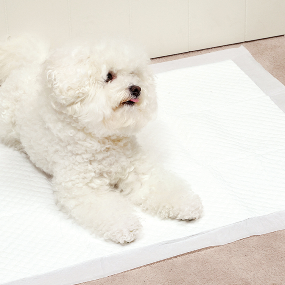 펫토리아 한장뚝딱 슈퍼라이트 강아지 배변패드 대형45g (60x76cm), 160매입, 1개 이미지 3