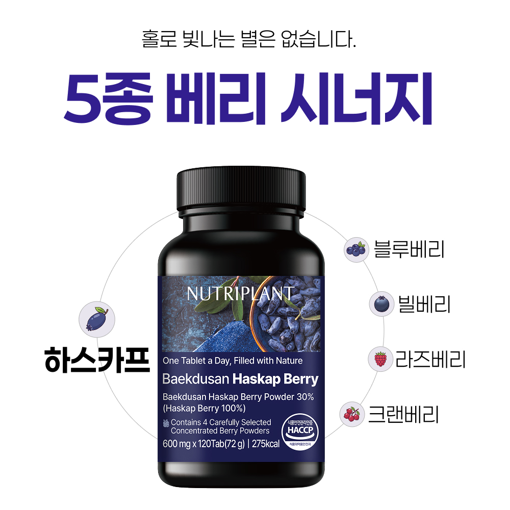 뉴트리플랜트 백두산 하스카프베리 식약처 HACCP 인증 120정, 3개 이미지 6