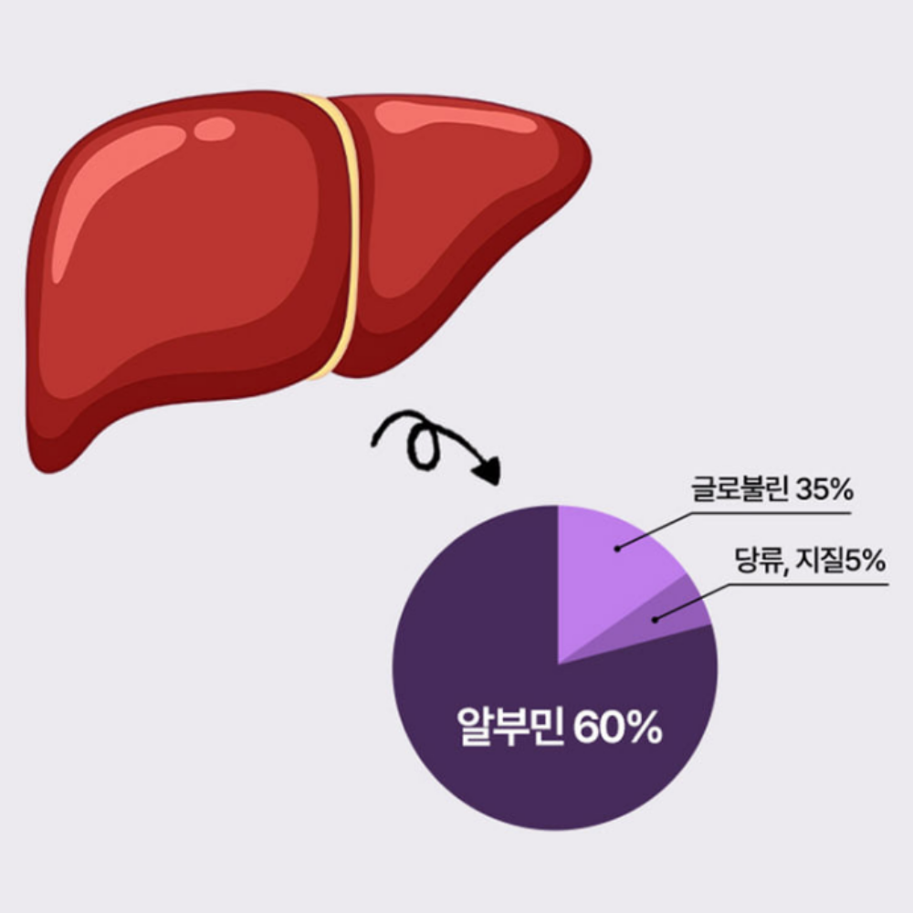김소형원방 프랑스 난백 알부민 마시는 진액스틱 실크 복합물 15g 약1달 30포, 1개 - 상세 이미지 5