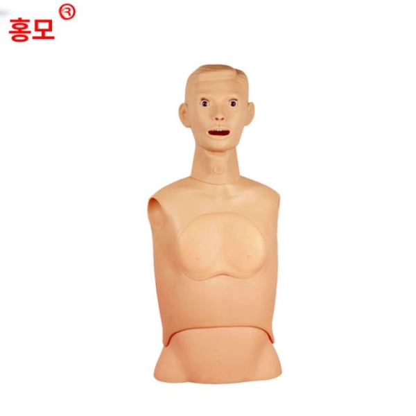 실습용 최신 간호술기 교육기관모형 비강위관 수유 삽관 인현 심폐소생술 단일 항목 - 상세 이미지 5