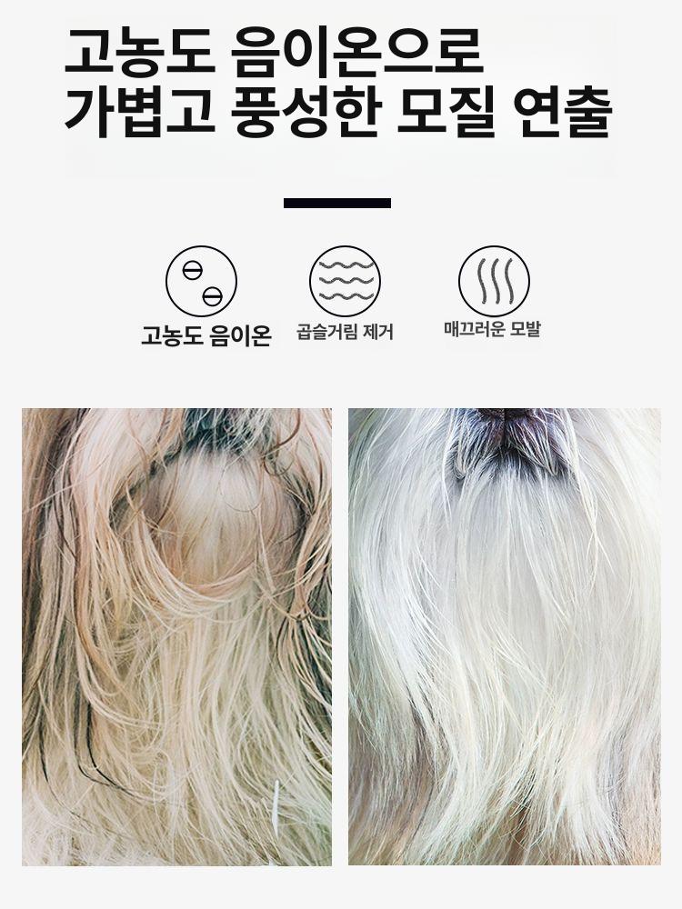 애견 가정용 그루밍 털말리기 용품 브러시 일체형 대형견 1세대 최상위 + 음이온 - 상세 이미지 2